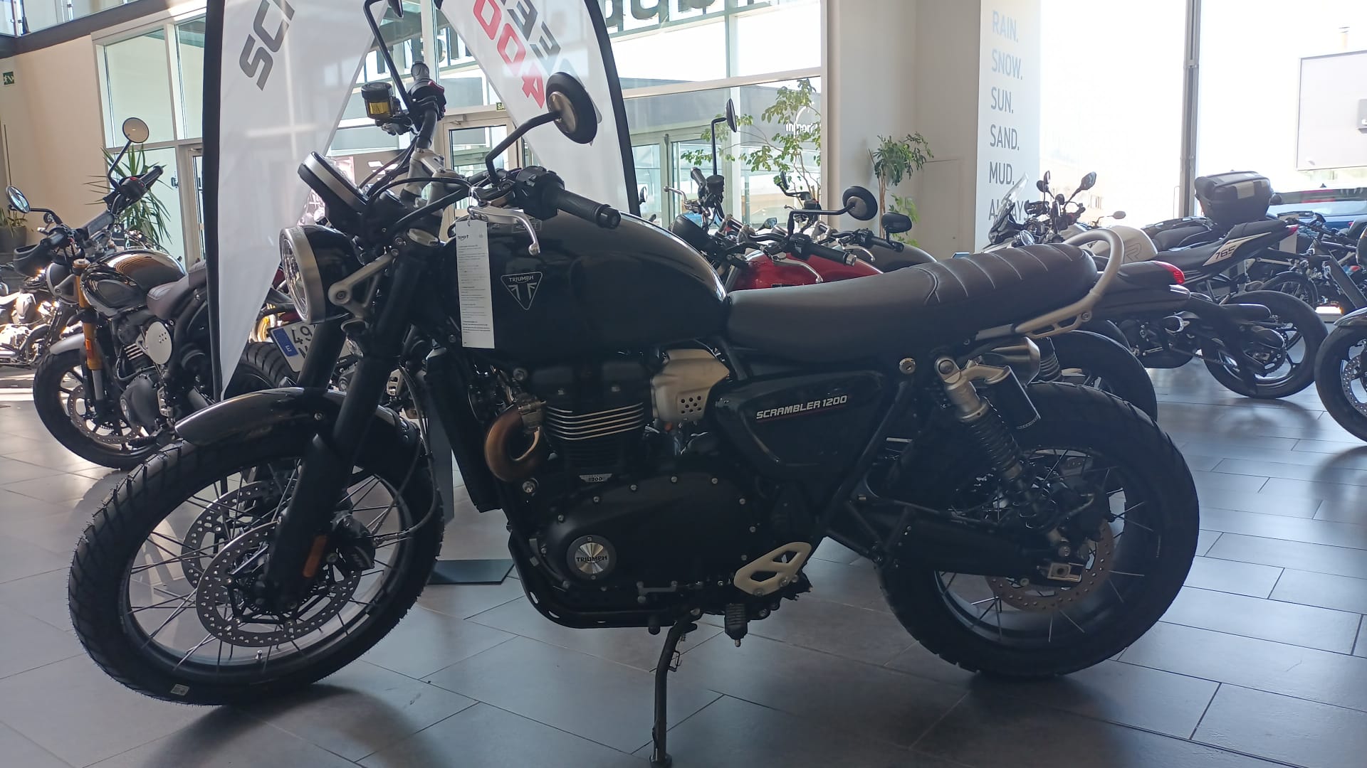 TRIUMPH SCRAMBLER 1200