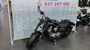 Benda CHINCHILLA 500