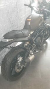 Benelli LEONCINO 800