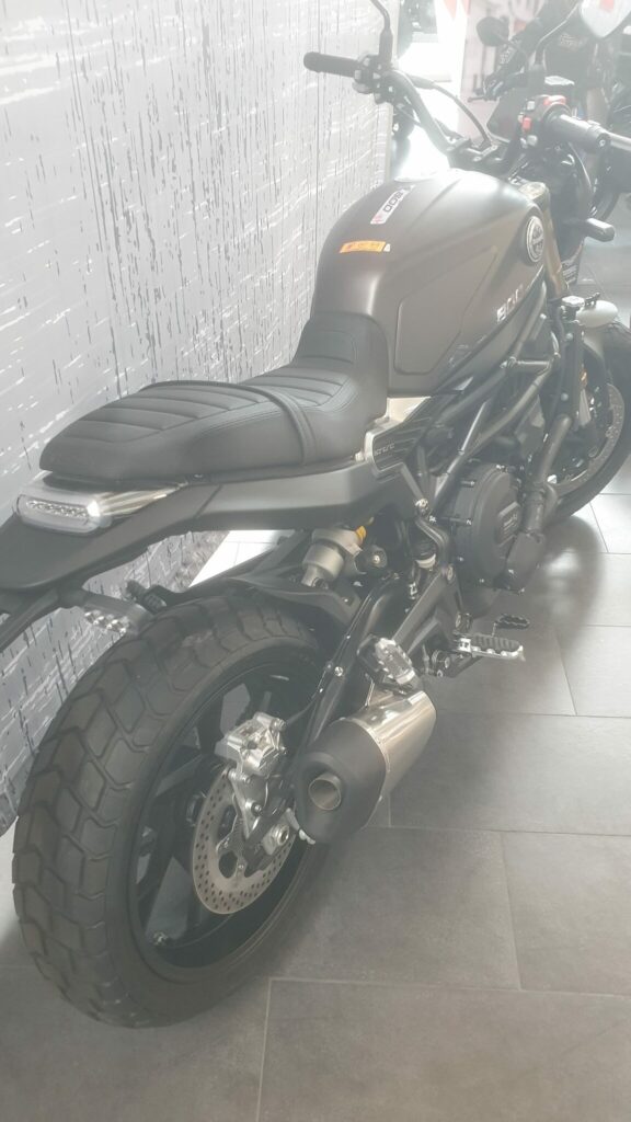 Benelli LEONCINO 800