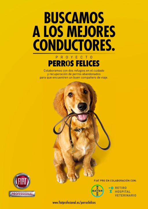 PROYECTO PERROS FELICES FIAT PROFESSIONAL 1