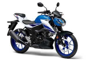 SUZUKI GSX-S125