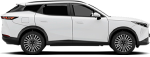 Grupo Julian Automotive Categoria Coche omoda